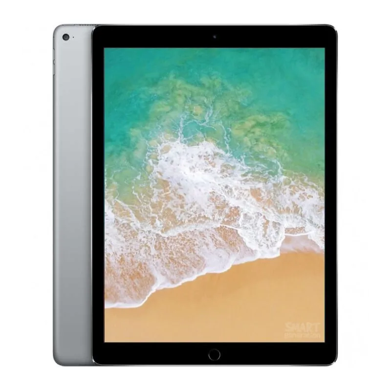 Apple iPad Pro 12.9 pollici (2017) 2a generazione, Grigio Siderale 256GB - Wi-Fi + Cellular - Ottimo