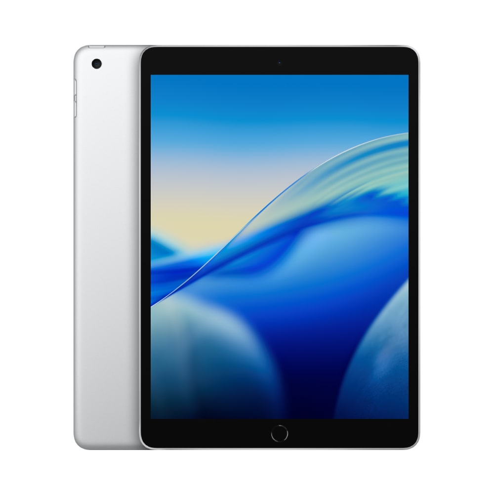 Apple iPad 10.2 pollici (2021) 9a Generazione, Argento 64GB - Wi-Fi - Eccellente
