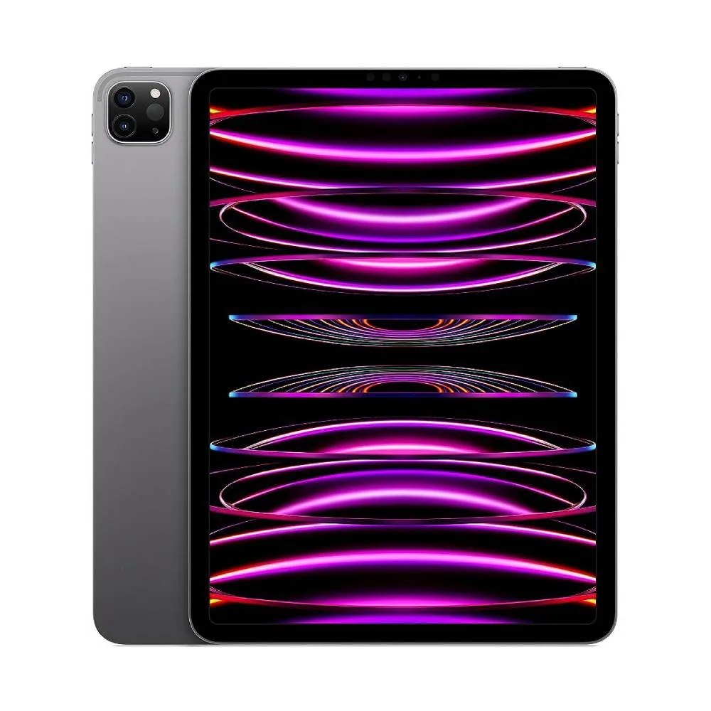 Apple iPad Pro 11 pollici M2 (2022) 4a generazione, Grigio Siderale 128GB - Wi-Fi - Ottimo