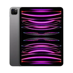 Apple iPad Pro 11 pollici M2 (2022) 4a generazione, Grigio Siderale 256GB - Wi-Fi - Ottimo